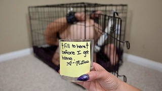 Bdsm Puppy Slave nie spuszcza się do kubka dla Bogini - orgazm z wibratorem bez użycia rąk