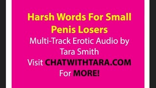 Wild Reality 4 Little Cock Men Sph Erotic Audio Multi-track Trance Layer
