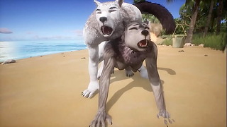 Hvid ulv dominerer kvindeulven og afslutter i hendes røv - dyreliv