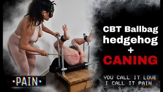 Femdom Ballbusting Caning Butt Plug Bondage Bench BDSM Pegs