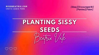 Sissy-zaden planten Lustful Audio Sissy Brainwash